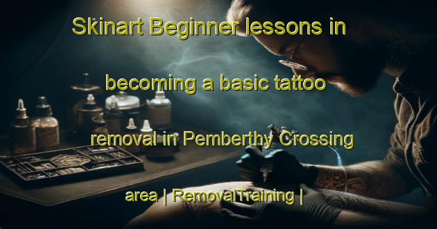 Skinart Beginner lessons in becoming a basic tattoo removal in Pemberthy Crossing area | RemovalTraining | RemovalClasses | SkinartTraining-United States